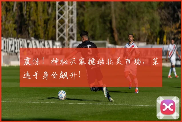 震惊！神秘买家搅动北美市场，某选手身价飙升！